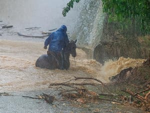 ¡SE LO LLEVÓ EL AGUA! - DRAMA EN LOS TUXTLAS