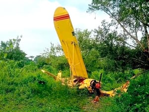 ¡SE CAYÓ LA AVIONETA! - ANDABA FUMIGANDO