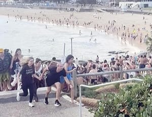 ¡ATAQUE TERRORISTA EN BONDI BEACH, AUSTRALIA DEJA 16 MUERTOS!