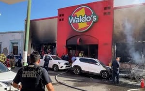 ¡DETIENEN A SIETE POR EL INCENDIO DE WALDOS EN SONORA!