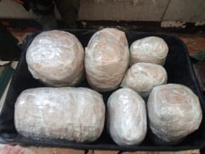 ¡ASEGURAN 20 KILOS DE MOTA EN OPERATIVO EN POZA RICA!