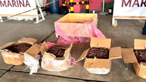 ¡MARINOS ASEGURARON 100 KILOS DE PSICODÉLICOS EN EL RECINTO PORTUARIO!