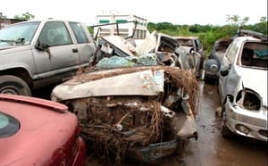 ¡LOS ANDAN BUSCANDO!