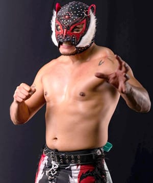 ¡ESPECTACULAR CARTELERA!