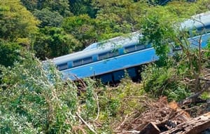 ¡SUSPENDEN CORRIDAS!