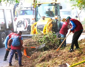 ¡150 TONELADAS DE PUROS DESECHOS!