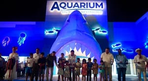 ¡LE FALTA MANTENIMIENTO! - * Por eso la inversión histórica al Acuario  de 2024 y los Chillers