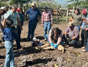 ¡IMPAAAARABLE! - AY NANITAS