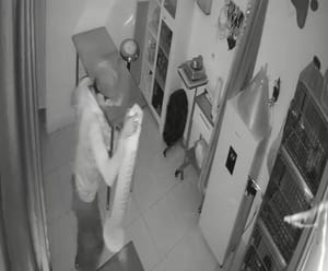 ¡ROBAN VETERINARIA DEDICADA AL RESCATE DE ANIMALES!