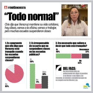 LA ENCUESTA | - ''TODO NORMAL''