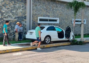 ¡AUTO SE PEGA “PALMERAZO”!