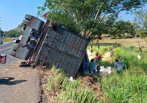 ¡VUELCA TORTON Y RAPIÑEROS ROBAN CARGA DE MAÍZ!