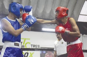 ¡BUSCAN CREAR COMISIÓN MUNICIPAL DE BOX Y LUCHA LIBRE!