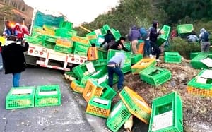 ¡VOLCÓ CAMIÓN CON POLLOS!