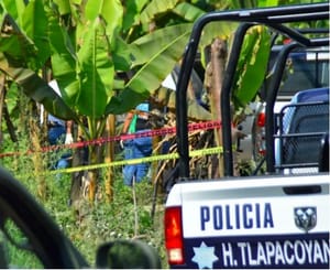 ¡ENCUENTRAN MUJER MUERTA Y ENCOBIJADA EN PLATANAL!