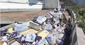 ¡VOLCÓ TRÁILER CARGADO CON HUEVOS!