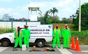 ¡AYUDARÁN A LOS TURISTAS!