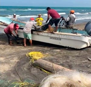 ¡PESCADORES PORTEÑOS SUSPENDEN ACTIVIDADES POR DERRAME DE CHAPOPOTE!