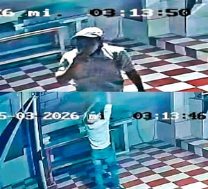 ¡“RATOTA” SAQUEÓ TAQUERÍA Y UN ASADERO!