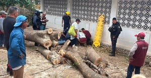 ¡TRABAJADOR DEL AYUNTAMIENTO GOLPEADO EN LA CABEZA POR RAMA!