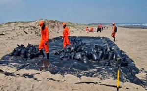 ¡CONTAMINADOS MÁS DE 230 KM DE LITORAL! - *Urgen limpieza y estudios de impacto en Veracruz