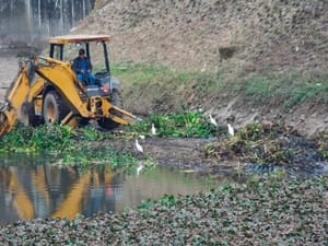 ¡LE PARAN EL CHISMOYO!