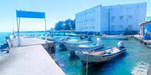 ¡QUE HIDROCARBURO NO CONTAMINA A PECES! - *Eso dice  líder pesquero de Veracruz