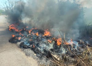 ¡SOFOCAN FUEGO EN PASTIZAL EN EL DISTRIBUIDOR VIAL DE LA CABEZA OLMECA!
