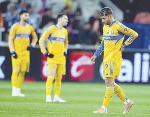 ¡CASI ELIMINADOS! - TIGRES DA PENA