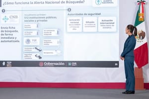 ¡SON 132 MIL! - LOS DESAPARECIDOS...