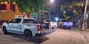 ¡CATEO GENERA DAÑOS Y MOLESTIA A VECINOS EN LA COLONIA VÍAS FÉRREAS!