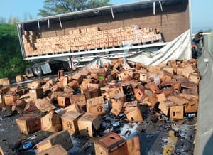 ¡VOLCADURA Y RAPIÑA DE CERVEZAS EN LA AUTOPISTA!
