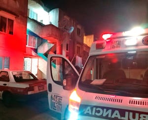 ¡GATO ATACÓ A LA ABUELITA!