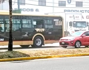 ¡SE LE TRUENAN LOS CRISTALES! - DE LOS ULÚAS