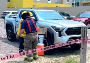¡ABEJAS PONEN PANAL EN CAMIONETA!