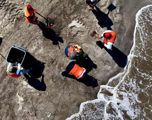 ¡PESE A LIMPIEZA DE PLAYAS DERRAME DE PETRÓLEO IMPACTARÍA POR DÉCADAS! - *Eso dicen especialistas