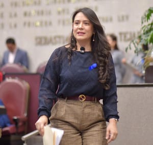 ¡QUIEREN CAMBIAR LAS PLURIS!