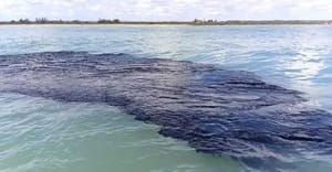 ¡LE PONDRÁN OJOS AL GOLFO DE MÉXICO! - PARA DETECTAR LOS DERRAMES