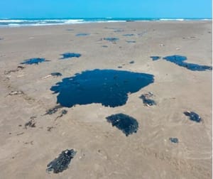 ¡CRUDO LLEGA HASTA TEXAS! - PA’SUMECHA