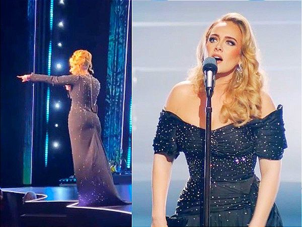 ¡ADELE DETIENE CONCIERTO POR DEFENDER A FAN!