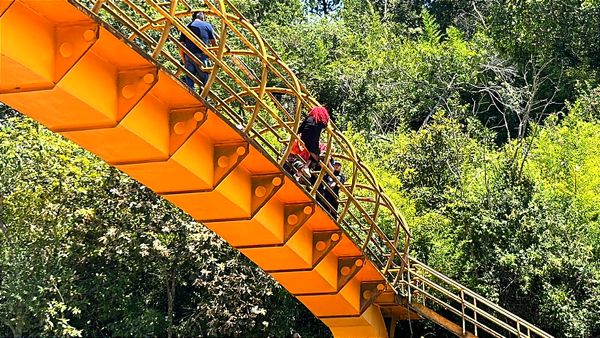 ¡SALVAN A MUJER TRANS DE LANZARSE DE PUENTE PEATONAL EN XALAPA!
