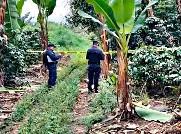 ¡SE AHORCÓ EN SU PARCELA!