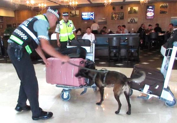 ¡LE METEN BINOMIO CANINO A LAS MALETAS!