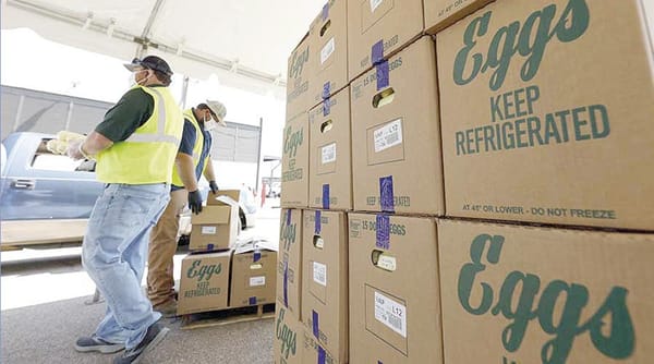 ¡PARAN LA PRODUCCIÓN DE HUEVOS POR GRIPE AVIAR! - EL MAYOR PRODUCTOR DE HUEVO DE EU