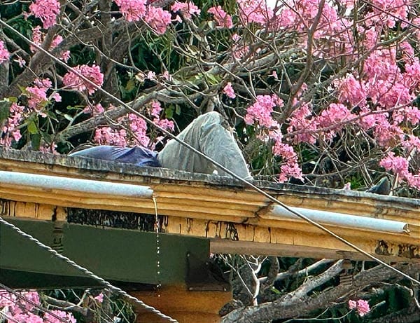 ¡PIERDE LA VIDA POR DESCARGA ELÉCTRICA! - DURANTE REPARACIONES EN LA AZOTEA