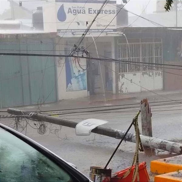 ¡PA’TORMENTÓN! - *Árboles derribados hasta  puestos afectados por los vientos