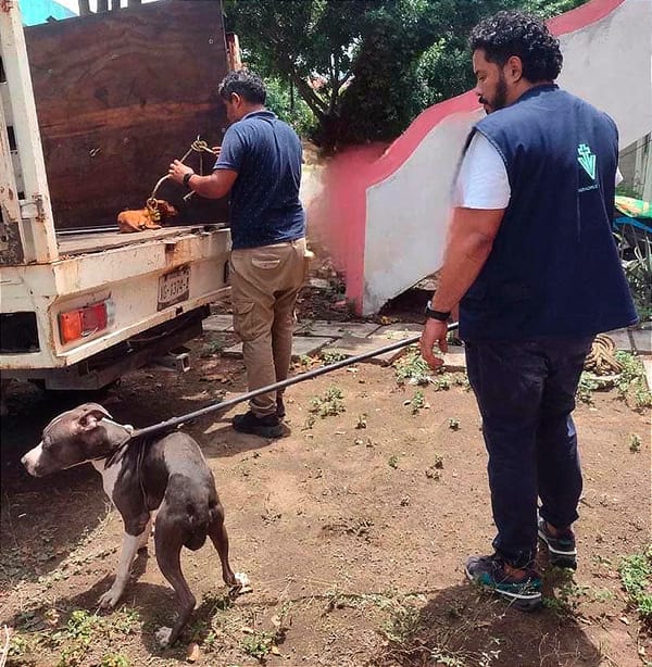 ¡RESCATAN DOS LOMITOS! - *Protección Animal de Pati-Yu ejecutó el operativo en Torrentes