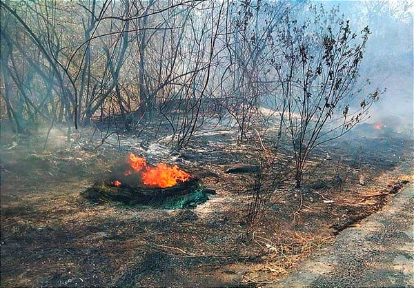 ¡VEINTE AÑOS DE CÁRCEL! - PIROMANÍACOS