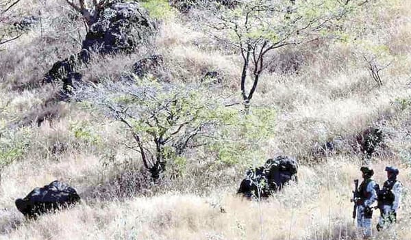 ¡VA CORTE PENAL CONTRA CALDERÓN, PEÑA Y AMLO! - AY NANITAS