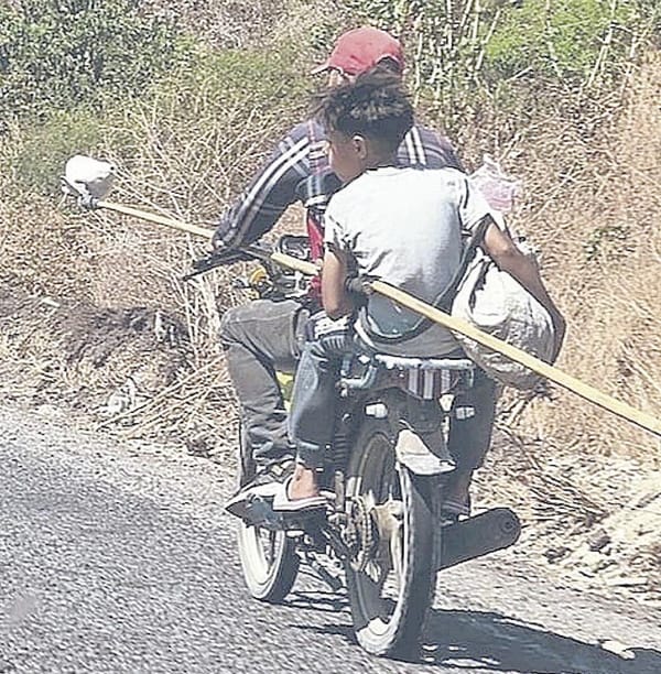 ¡AHORA, LIMONEROS TEMEN A LOS CAMPOS MINADOS!